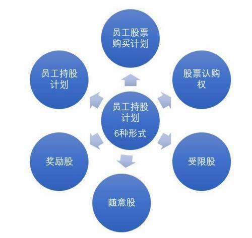 员工持股计划设计(员工持股计划书模板)孝感市 员工持股计划设计(员工持股计划书模板)孝感市