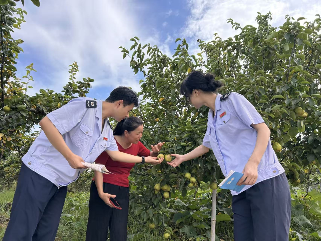 税务合规规范辅导(税务合规的规则体系)孝感市 税务合规规范辅导(税务合规的规则体系)孝感市