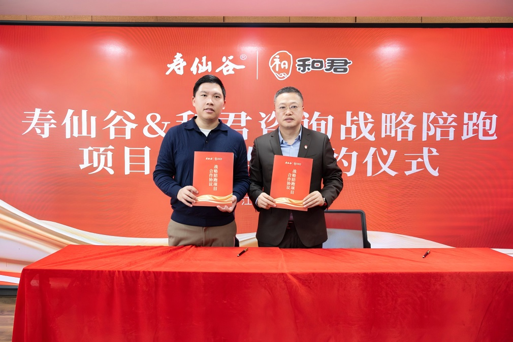 战略执行陪跑服务(战略执行五步方案案例)孝感市