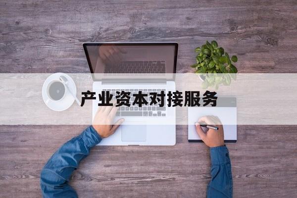 产业资本对接服务(产业资本对接服务包括哪些)孝感市